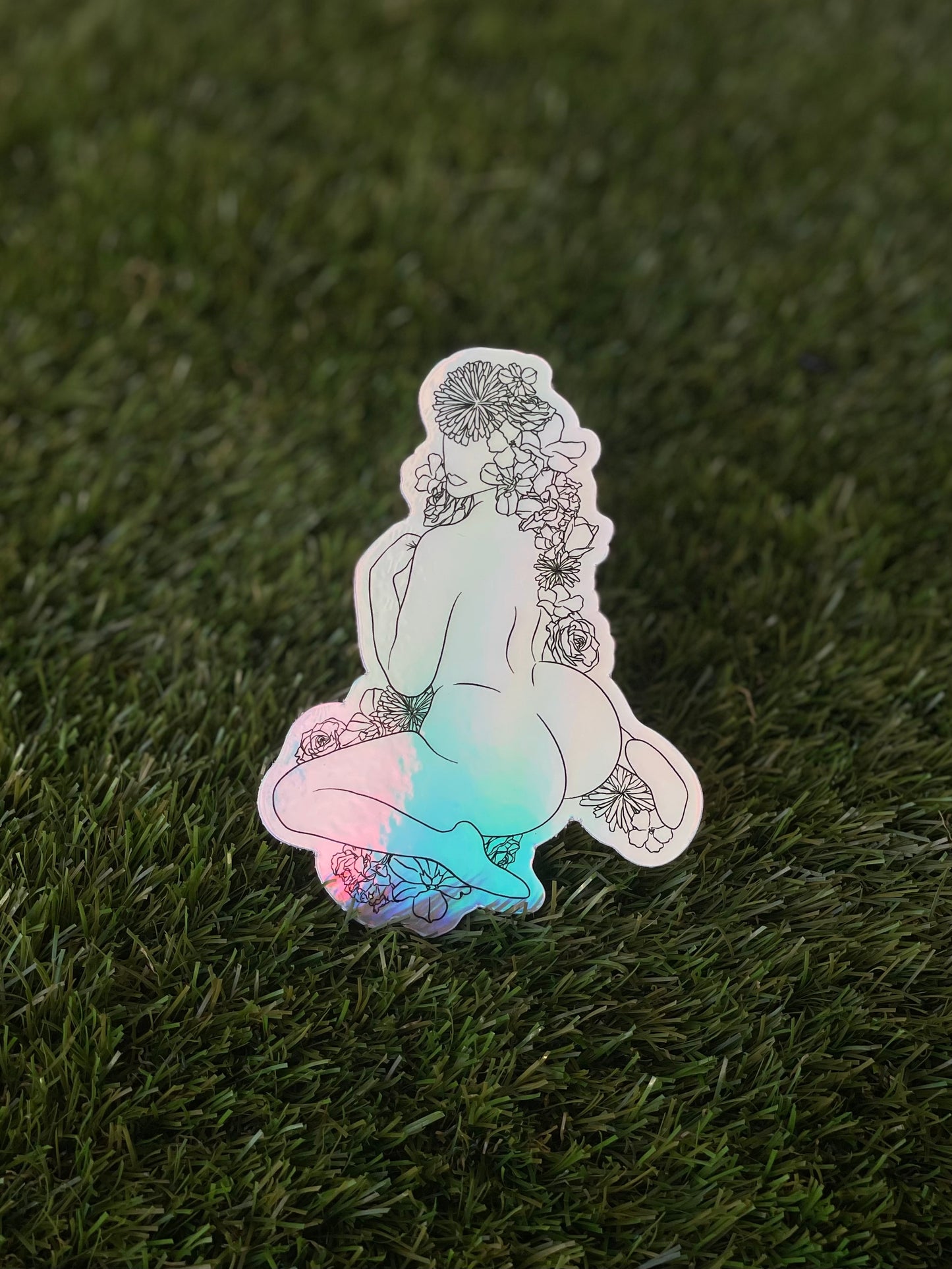 Holographic Floral Curves Bundle