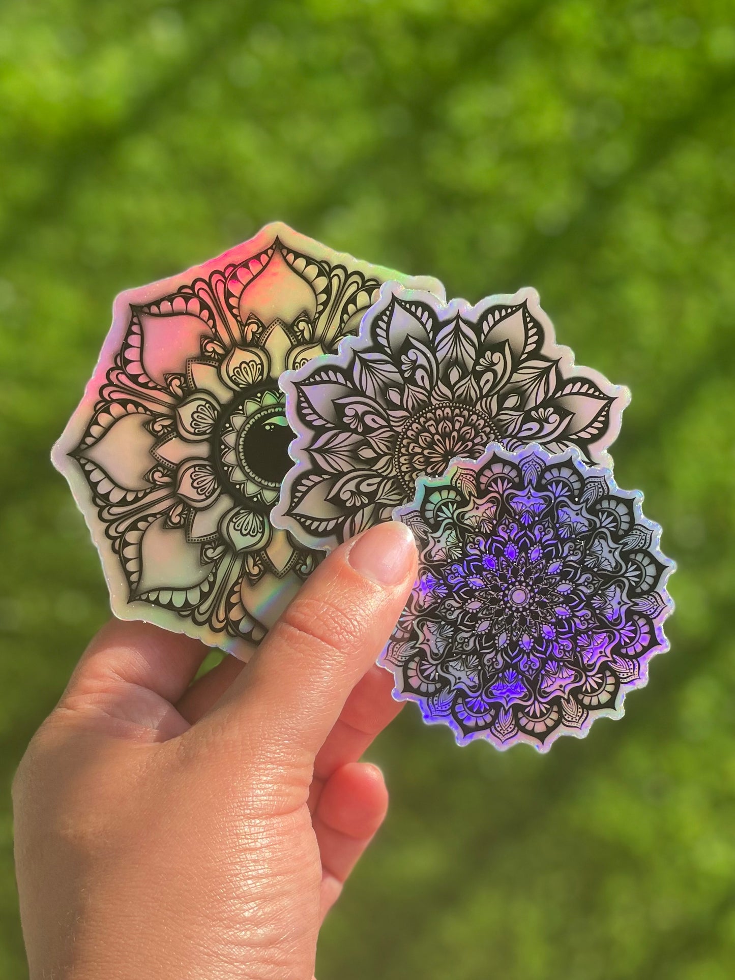 Holographic Mandala Bundle